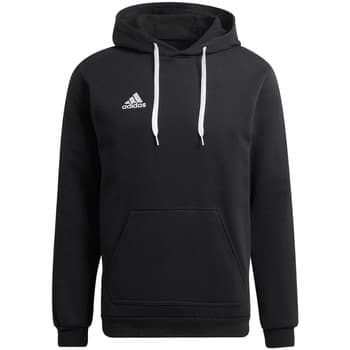Ulkoilutakki adidas  adidas Entrada 22 Sweat Hoodie  EU XXL