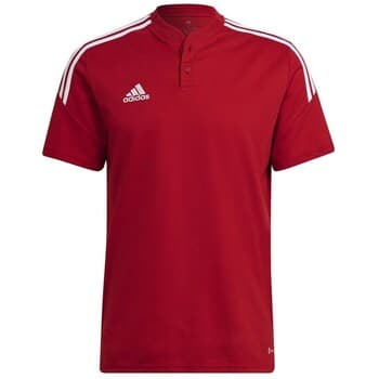 Lyhythihainen poolopaita adidas  Condivo 22  EU L