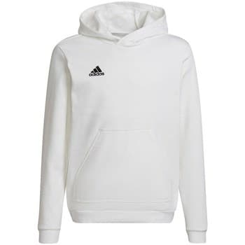 Hupparit adidas  Entrada 22  EU S