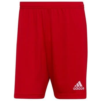 Shortsit & Bermuda-shortsit adidas  Entrada 22  EU L