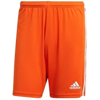 Shortsit & Bermuda-shortsit adidas  Squadra 21  EU XL