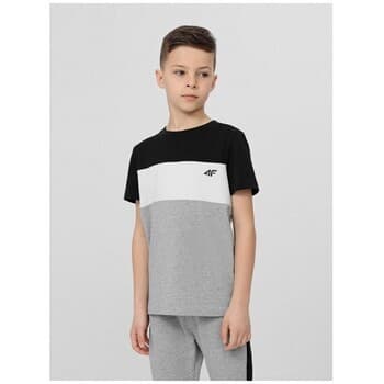 Lyhythihainen t-paita 4F  JTSM007  Yksi Koko