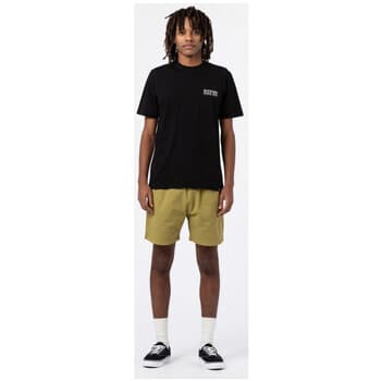 Shortsit & Bermuda-shortsit Dickies  Pelican rapids  EU S