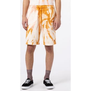 Shortsit & Bermuda-shortsit Dickies  Seatac short  EU L