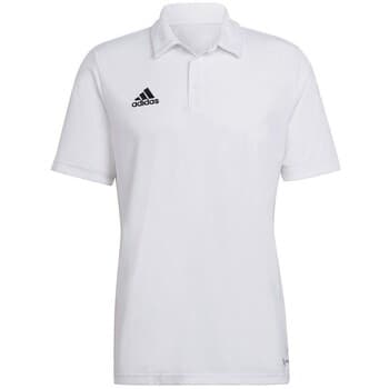 Lyhythihainen poolopaita adidas  Entrada 22  EU M
