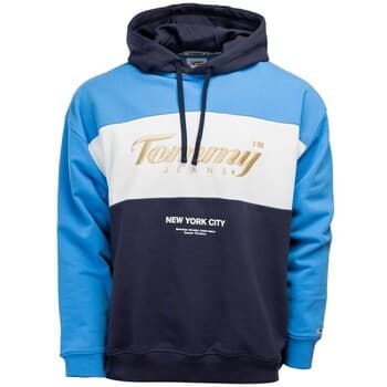 Hupparit Tommy Hilfiger  DM0DM14200C87  EU M