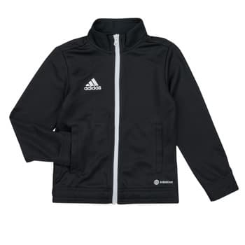 Ulkoilutakki adidas  ENT22 TK JKTY  EU XS