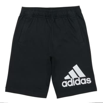 Shortsit & Bermuda-shortsit adidas  BL SHORT  EU XS
