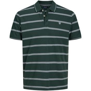 Lyhythihainen t-paita Jack & Jones  12190262  EU S