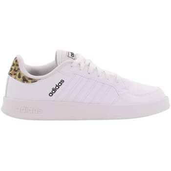 Kengät adidas  Breaknet  36