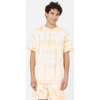 T-paidat & Poolot Dickies  Westfir tee ss  EU S