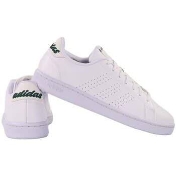 Kengät adidas  Advantage  42