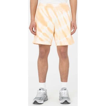 Shortsit & Bermuda-shortsit Dickies  Westfir short  EU S