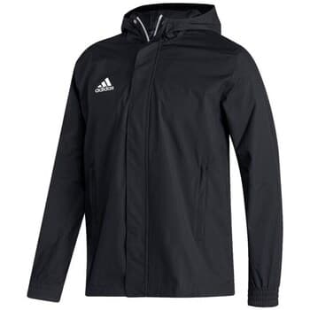 Ulkoilutakki adidas  Entrada 22 All Weather  EU XL