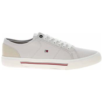 Kengät Tommy Hilfiger  FM0FM04560AEP  40