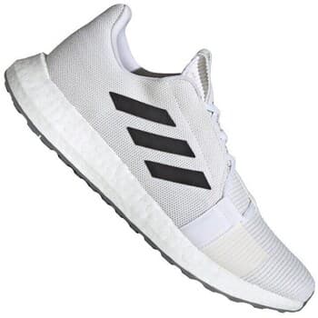Kengät adidas  Senseboost GO  45 1/3