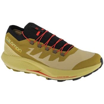 Kengät Salomon  Pulsar Trailpro  40 2/3