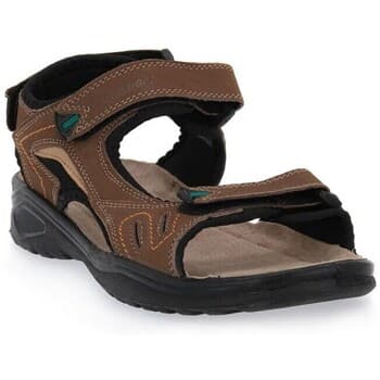 Sandaalit Grisport  81501BROWN  41