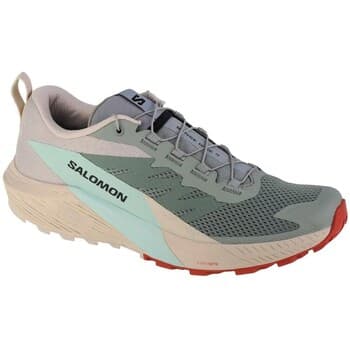 Kengät Salomon  Sense Ride 5  44 2/3