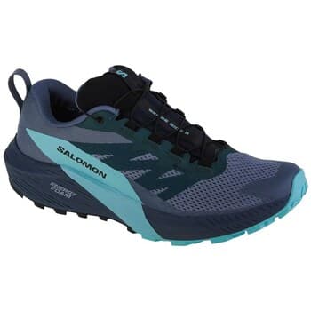 Kengät Salomon  Sense Ride 5 Gtx  44