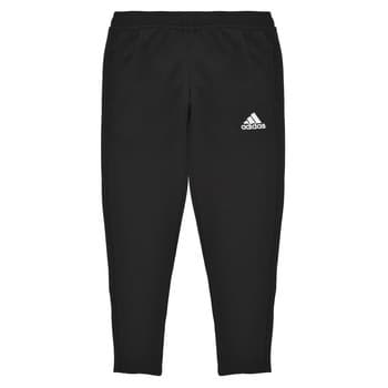 Jogging housut / Ulkoiluvaattee adidas  ENT22 TR PNT Y  10 vuotta