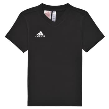 Lyhythihainen t-paita adidas  ENT22 TEE Y  UK M