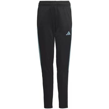 Housut adidas  Tiro 23 Club Training  EU S