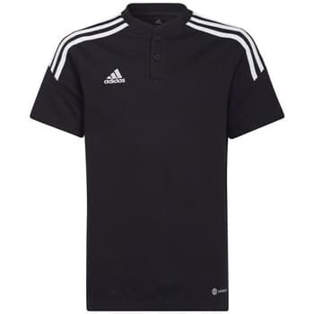 Lyhythihainen t-paita adidas  Condivo 22 Polo  EU S