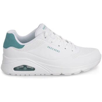 Kengät Skechers  177092WMNT  37