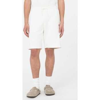 Shortsit & Bermuda-shortsit Dickies  Mapleton short  EU XL
