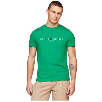 Lyhythihainen t-paita Tommy Hilfiger  MW0MW11797L4B  EU S