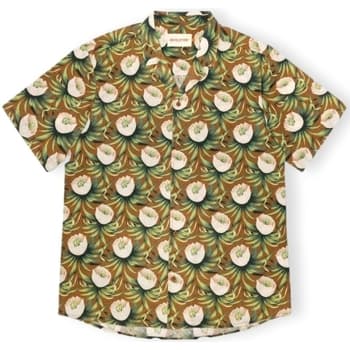 Pitkähihainen paitapusero Revolution  RVLT  Shirt 3912 - Brown  EU L