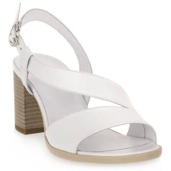 Sandaalit NeroGiardini  Loira  37