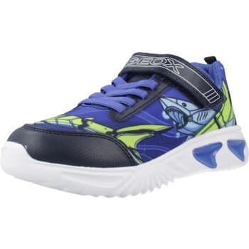 Tennarit Geox  J Assister Boy  30