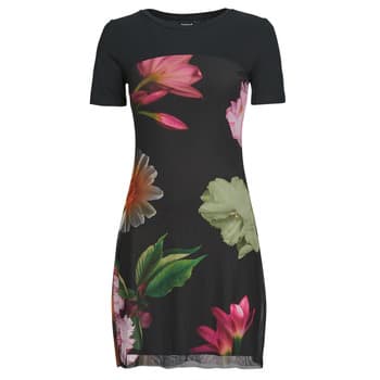 Lyhyt mekko Desigual  HAMBURGO  EU S