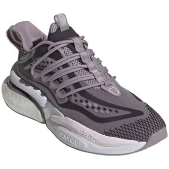 Kengät adidas  Alphaboost V1  38