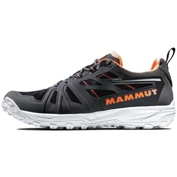 Kengät Mammut  Saentis Low Gtx  44