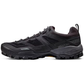 Kengät Mammut  Ducan Low Gtx 22  44