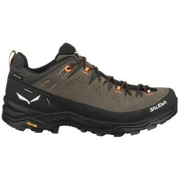 Kengät Salewa  Alp Trainer 2 Gtx  45