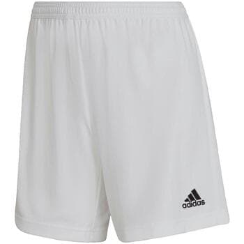Shortsit & Bermuda-shortsit adidas  Entrada 22  EU XL