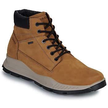 Kengät IgI&CO  U.ELOY GTX  44