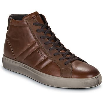Kengät IgI&CO  U.SACHA  41