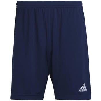 Shortsit & Bermuda-shortsit adidas  Ent22 Tr Sho  EU XS