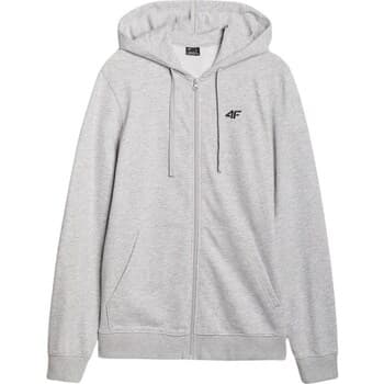 Ulkoilutakki 4F  B24534  EU XXL