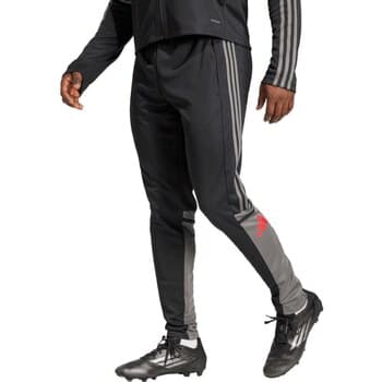 Jogging housut / Ulkoiluvaattee adidas  JD1625  EU S