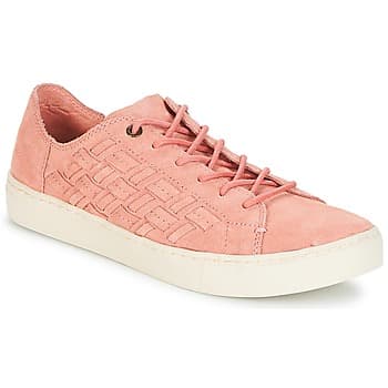 Kengät Toms  LENOX  37