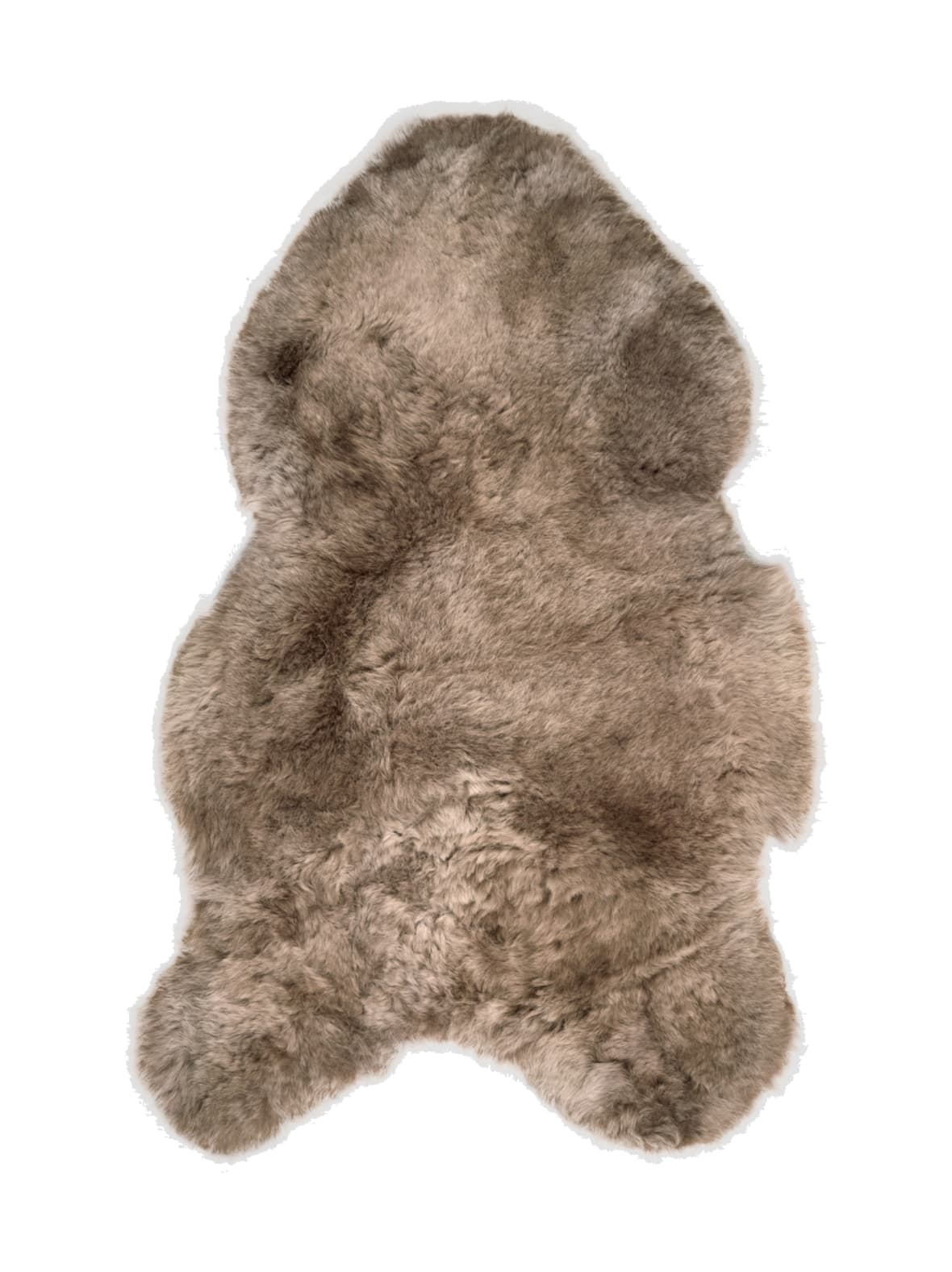 Islannin lyhytkarvainen lampaantalja