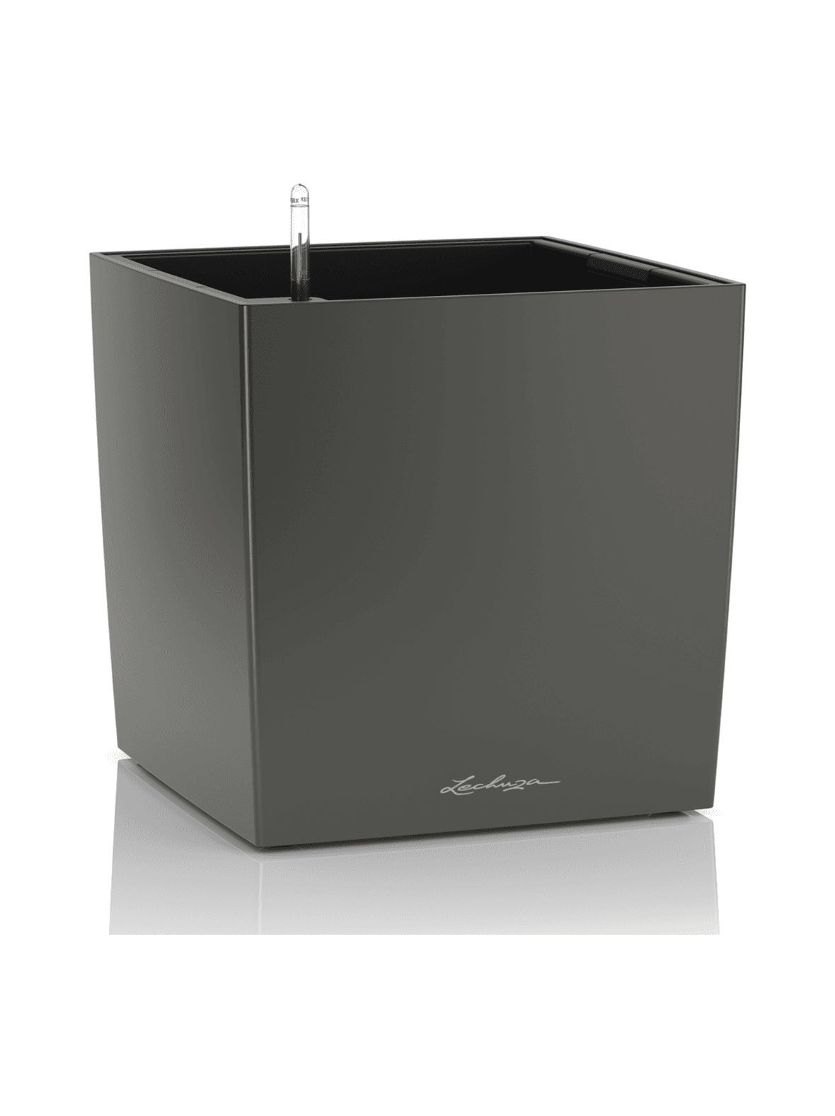 Cube premium 50 tummaharmaa altakasteluruukku pyörillä ∅50x50cm korkeus50cm