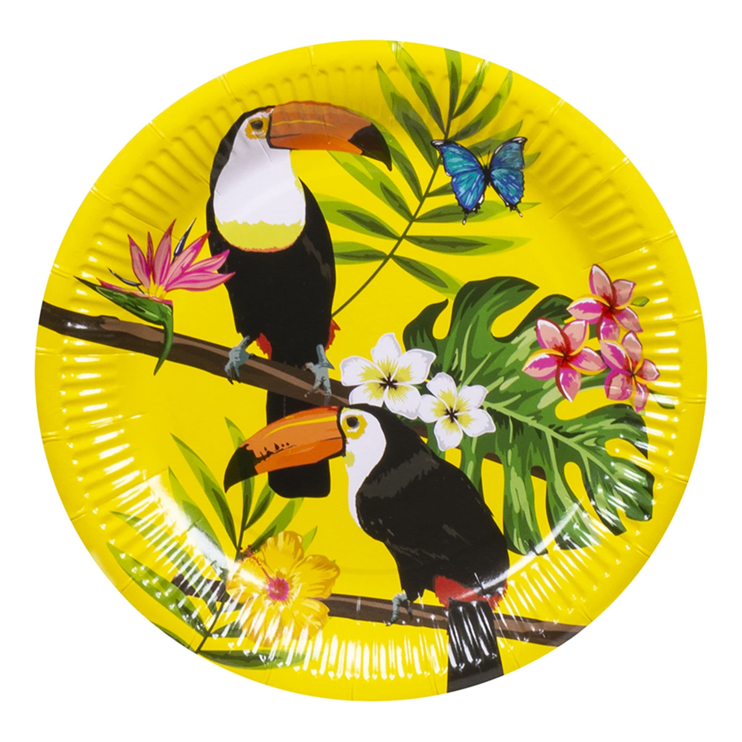 Pahvilautaset Tukaani - 6-pakkaus