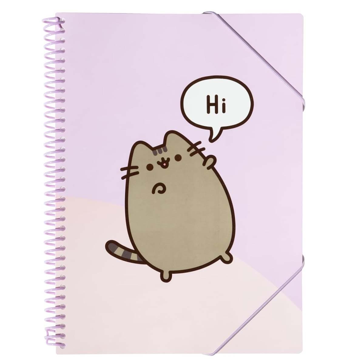 A4-kansio kuminauhalla, 30 läpinäkyvää säilytyslehteä